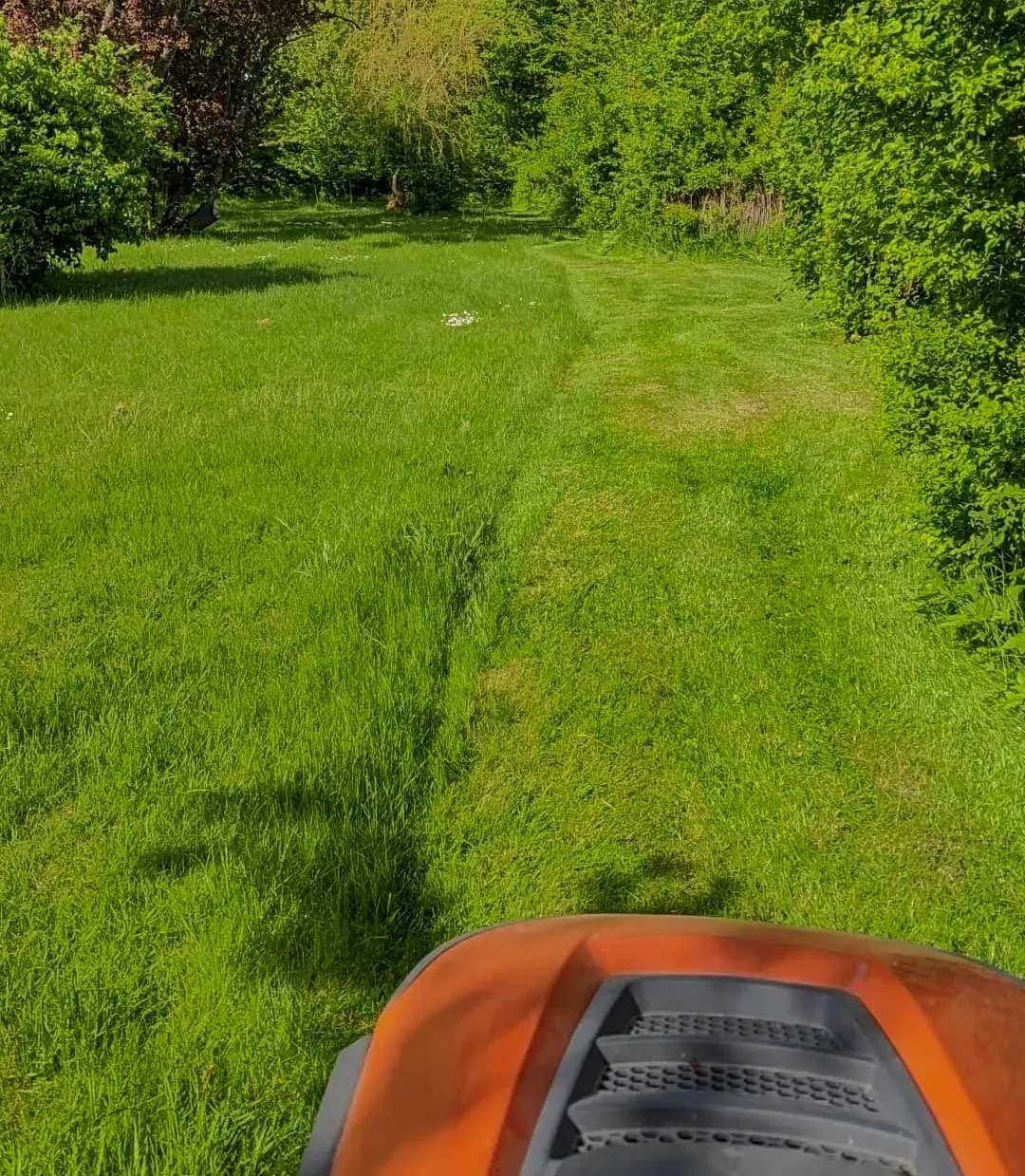 Hausmeisterservice - mit dem Rasenmäher unterwegs, im Bereich Gartenpflege